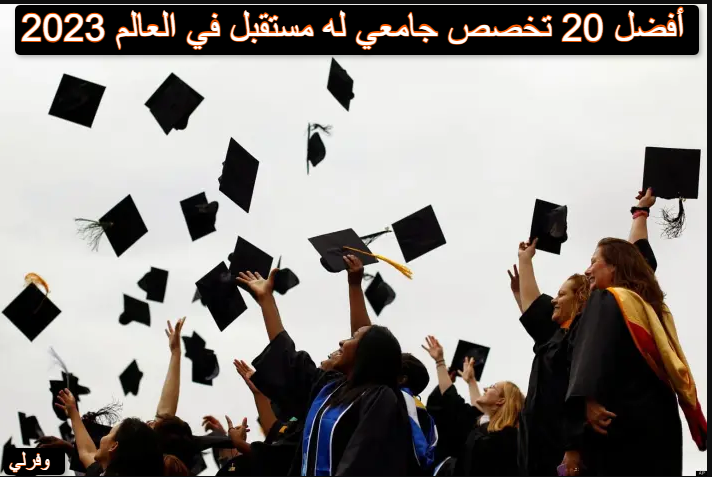 أفضل 20 تخصص جامعي له مستقبل في العالم 2023